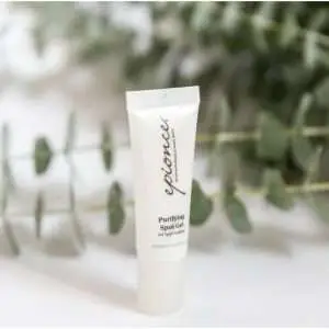 Purifying Spot Gel