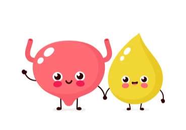 happy bladders from a non-surgical vaginal rejuvenation procedure